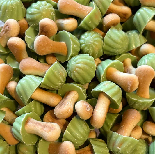 Champignon Chocolat Pistache (X10)